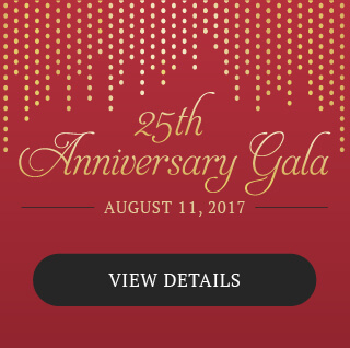 Payment Options – 2017 Rotaplast International’s 25th Anniversary Gala